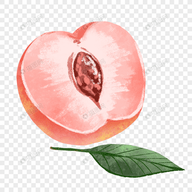 99久...久播影院APP应用