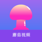 9.1免费版安装APP应用